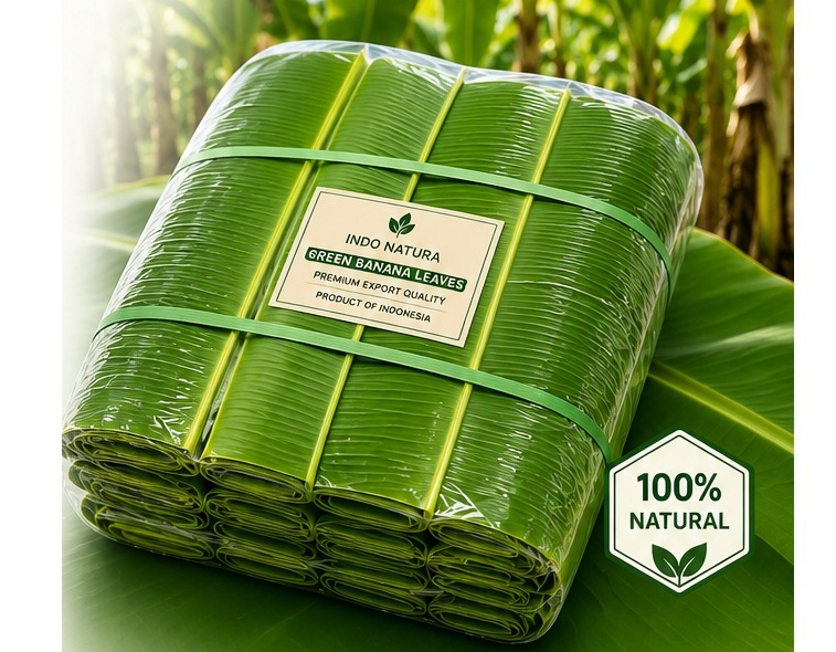 Fresh Export Quality Banana Leaves